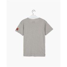  Gris