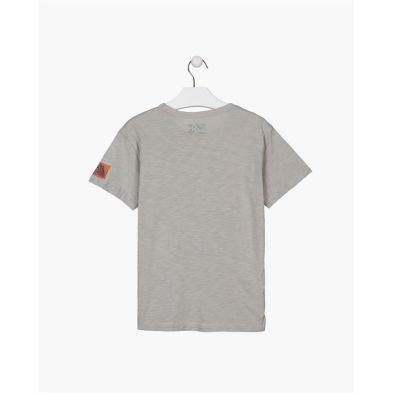  Gris